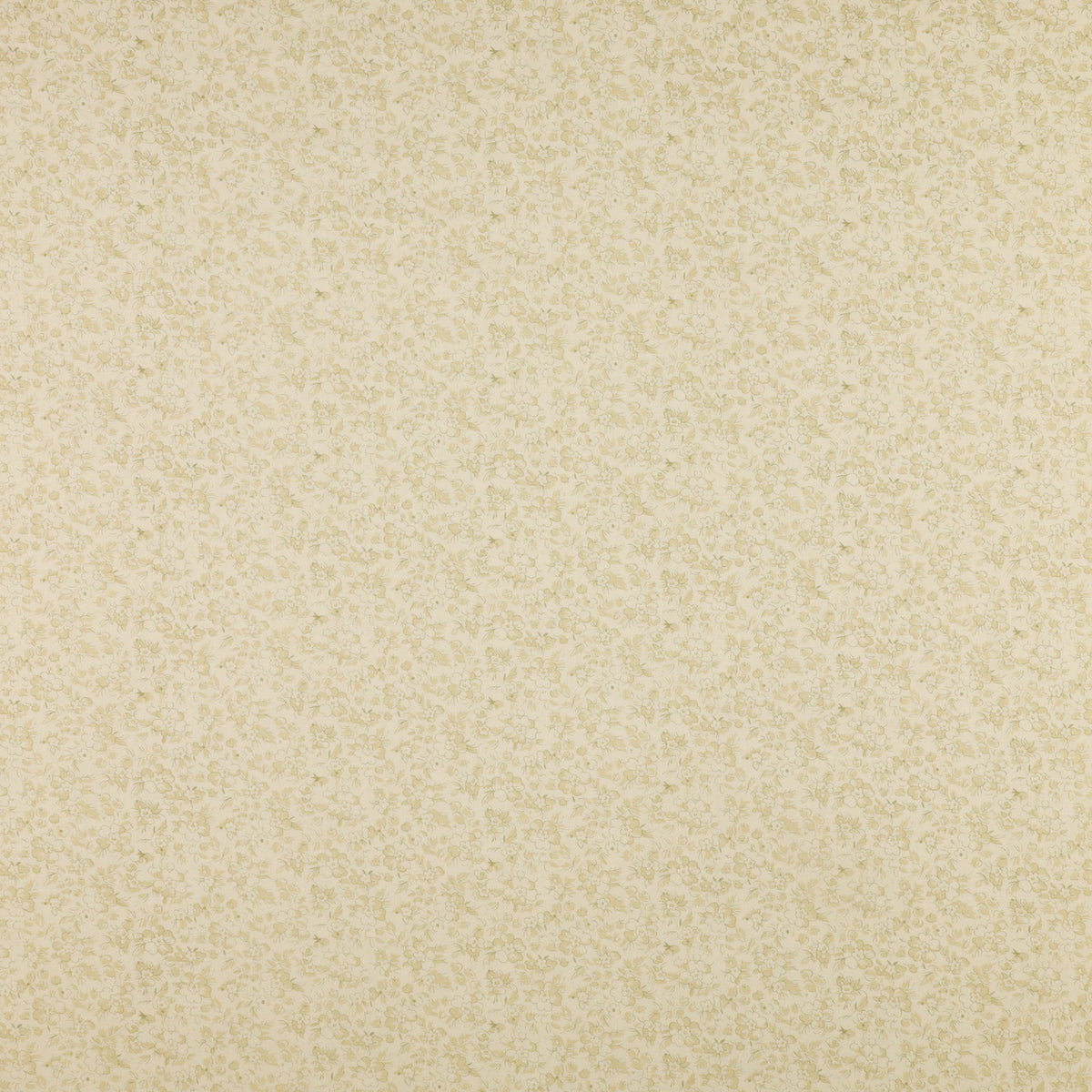 Beloved Fabric Collection - Beloved Calico Sage/Natural
