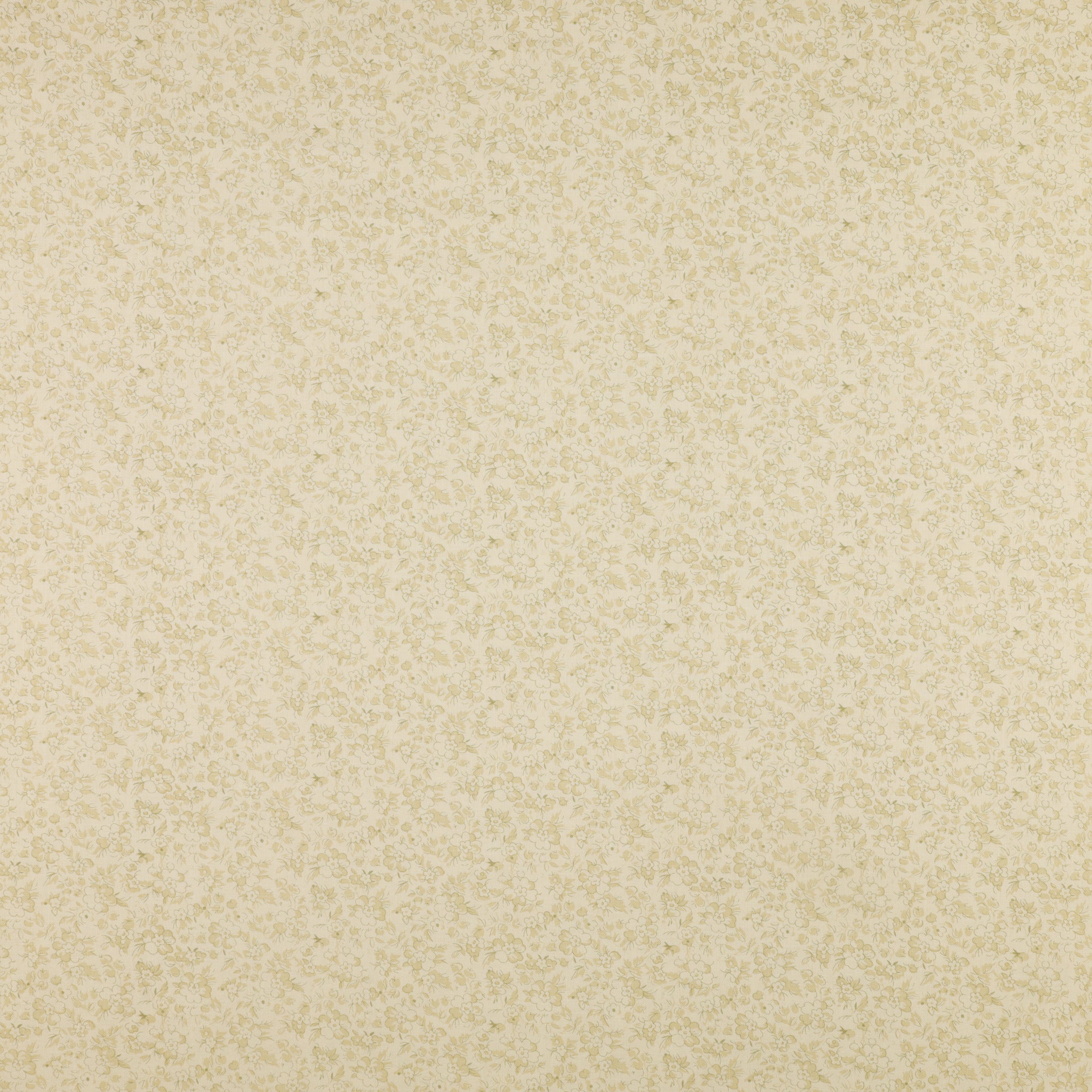 Beloved Fabric Collection - Beloved Calico Sage/Natural