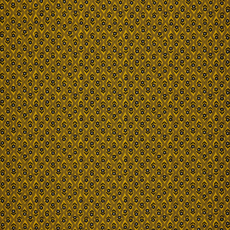 Black, White and Bloom Fabric Collection - Trudy Sunshine