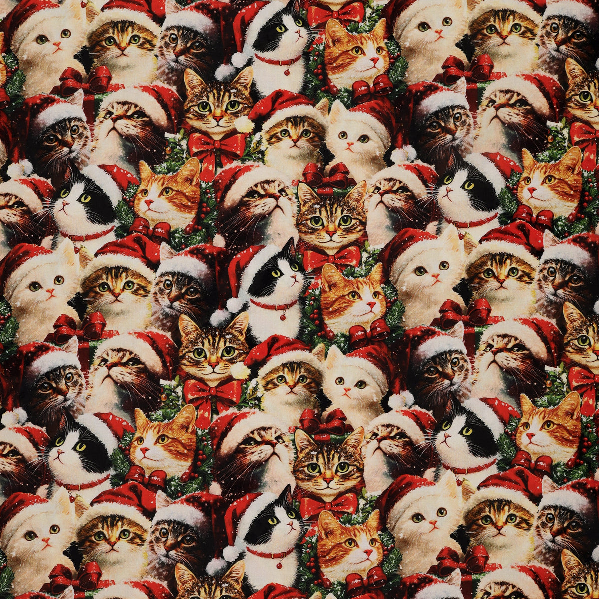 Merry Cats Fabric Collection - Merry Cats Portrait Multi