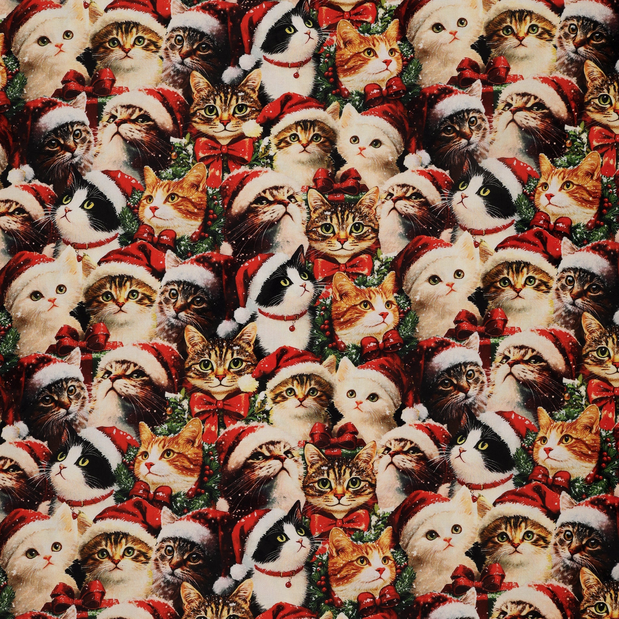 Merry Cats Fabric Collection - Merry Cats Portrait Multi