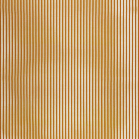 Montgomery-Mountain Charm Fabric Collection - Ouachita Stripe Cider