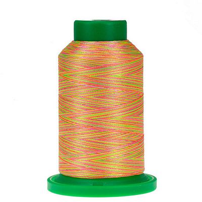 Isacord Variegated 1000m-Neon Brights