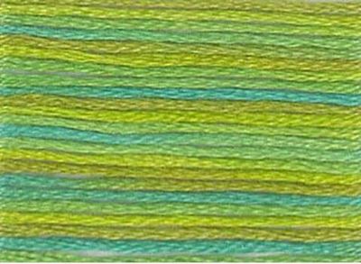 DMC Vari Embroidery Floss 8.7yd 6ct Roaming Pastures