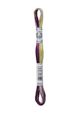 Dmc Coloris Floss 6sk - Bouquet