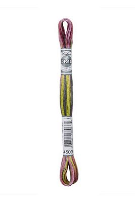 Dmc Coloris Floss 6sk - Rose Bouquet
