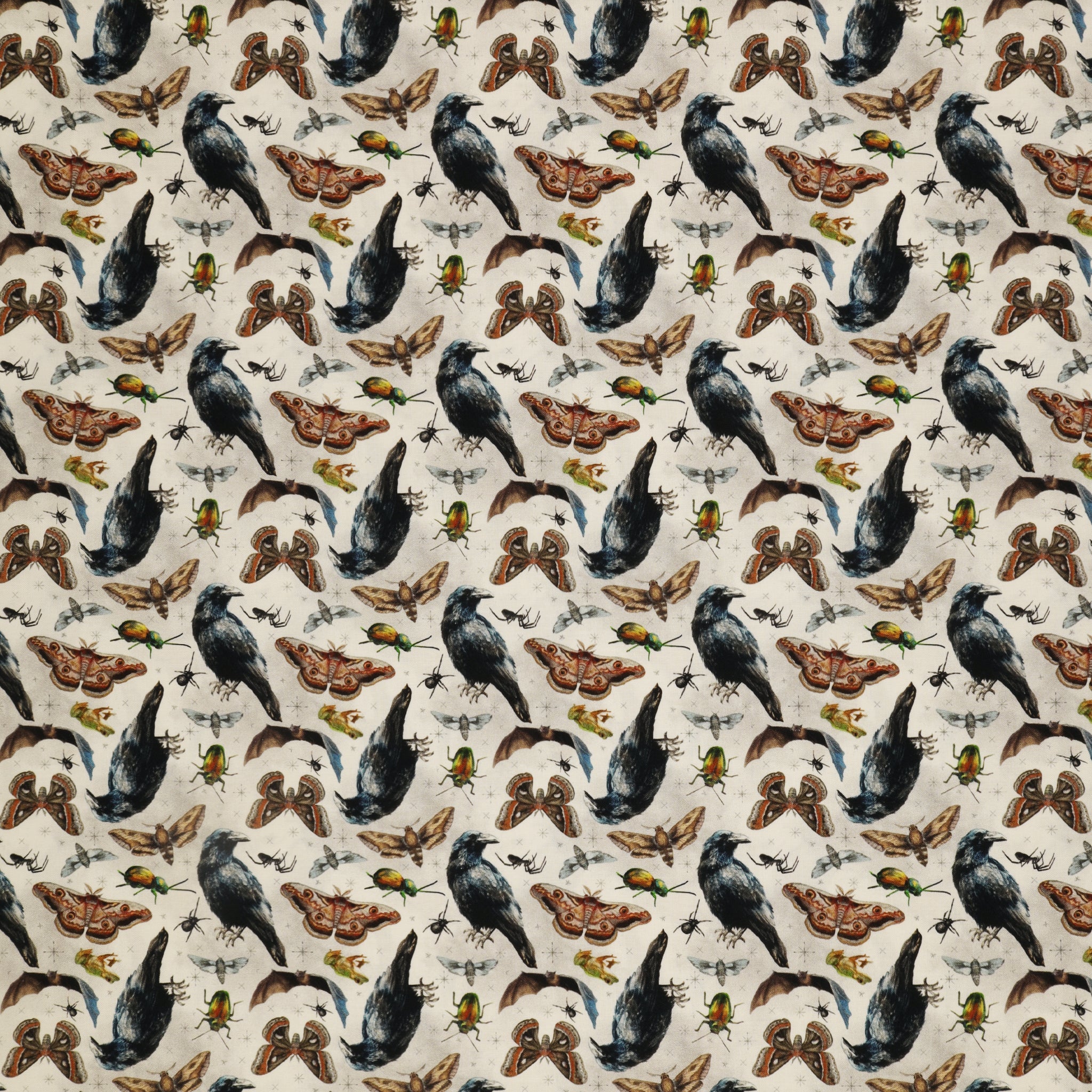 Happy Haunting Fabric Collection - Familiar Friends