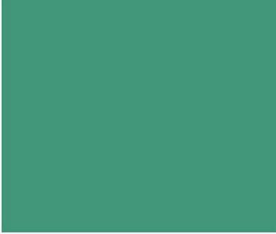 Gutermann Dekor Rayon Thread 40wt 200m 5ct Aqua Green