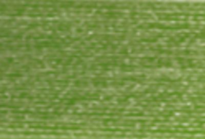 Mettler Silk Finish 60wt 2743m 3000yd 2ct-Foliage