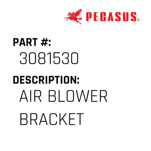 Air Blower Bracket - Pegasus #3081530