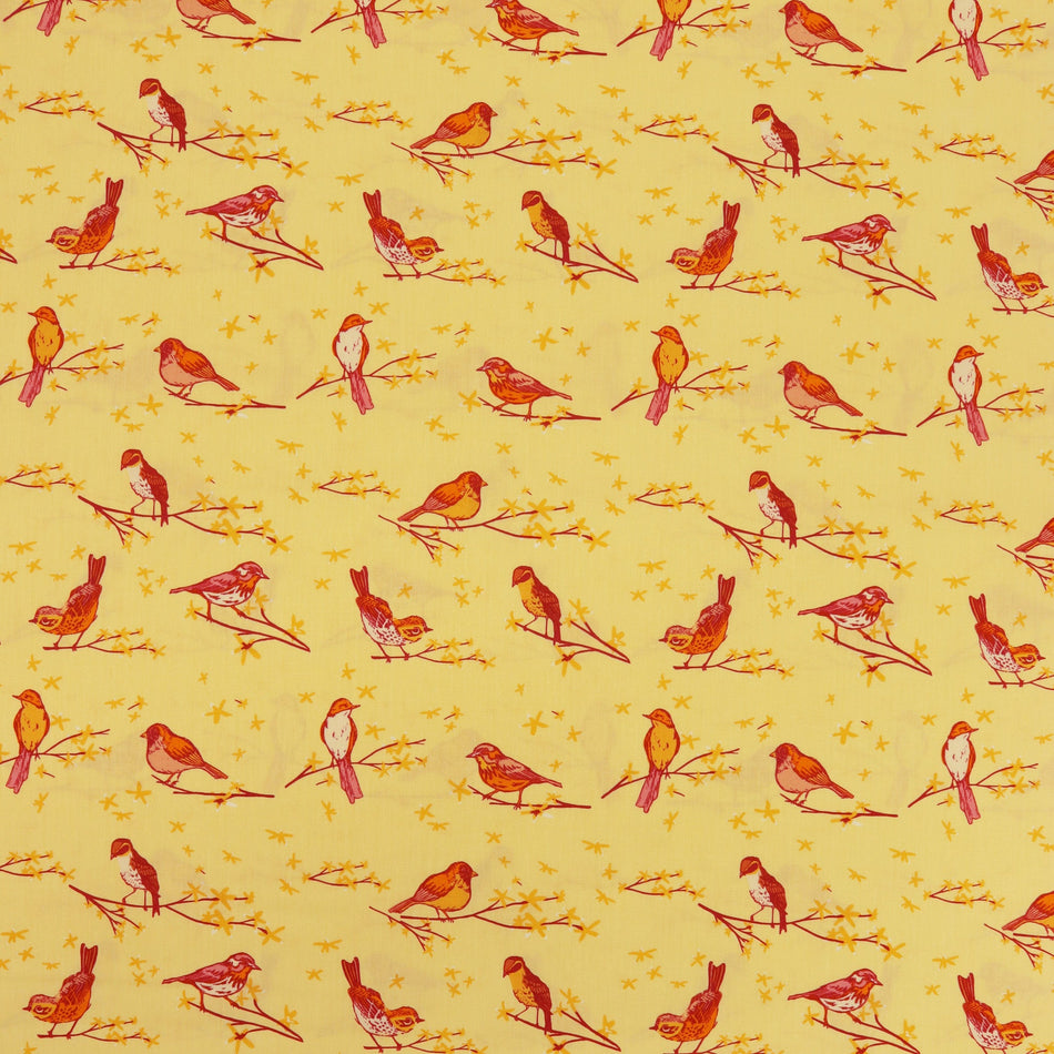 Marigold Fabric Collection - The Dawn Chorus