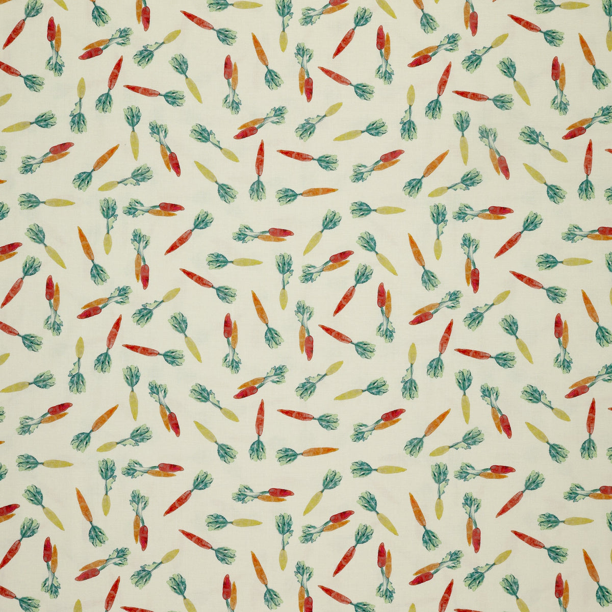 Vegetable Patch Fabric Collection - Carrots Orange