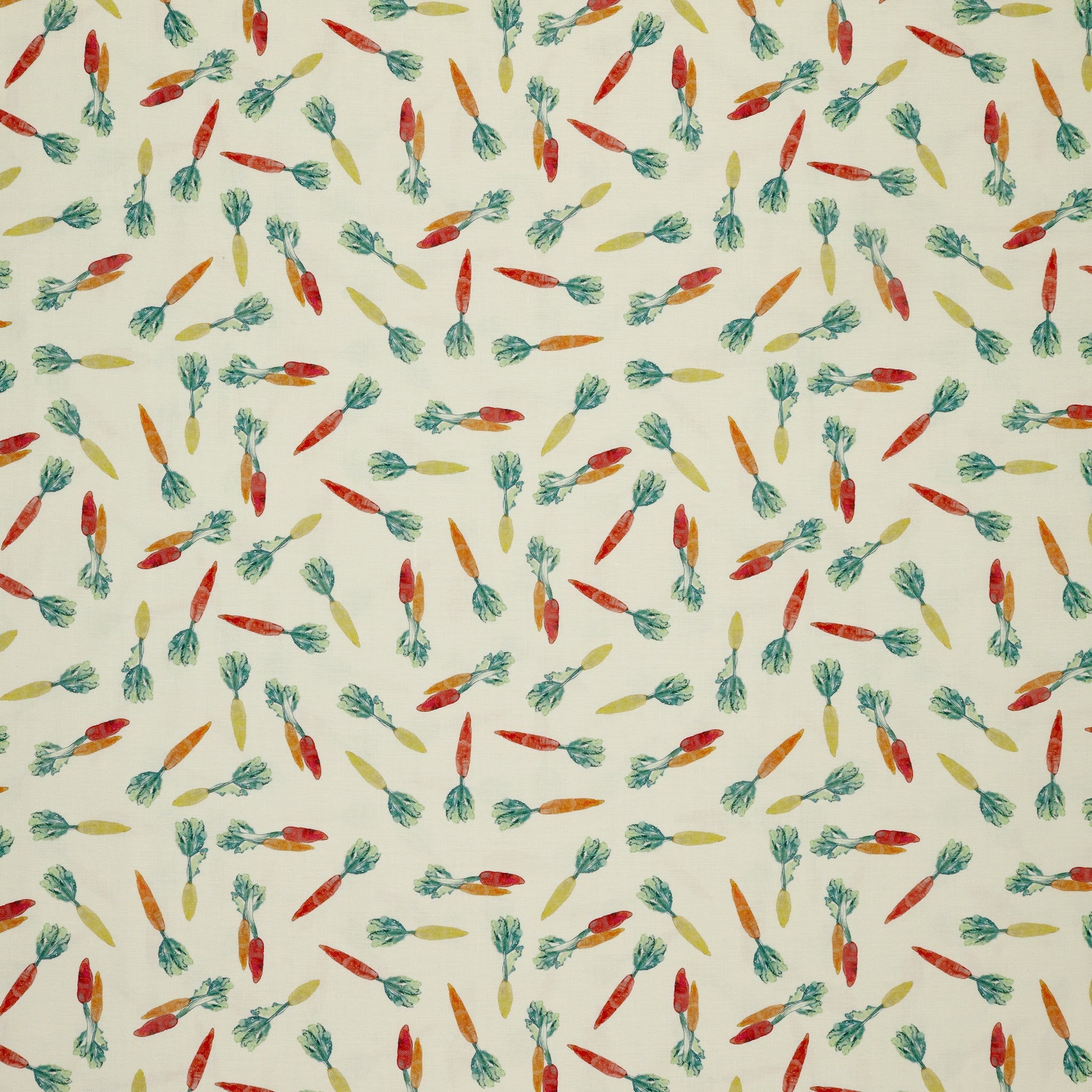 Vegetable Patch Fabric Collection - Carrots Orange