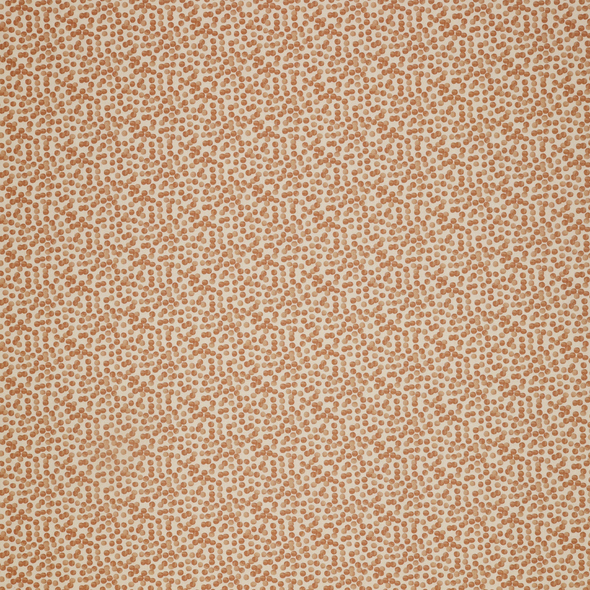 Vegetable Patch Fabric Collection - Garden Peas Orange