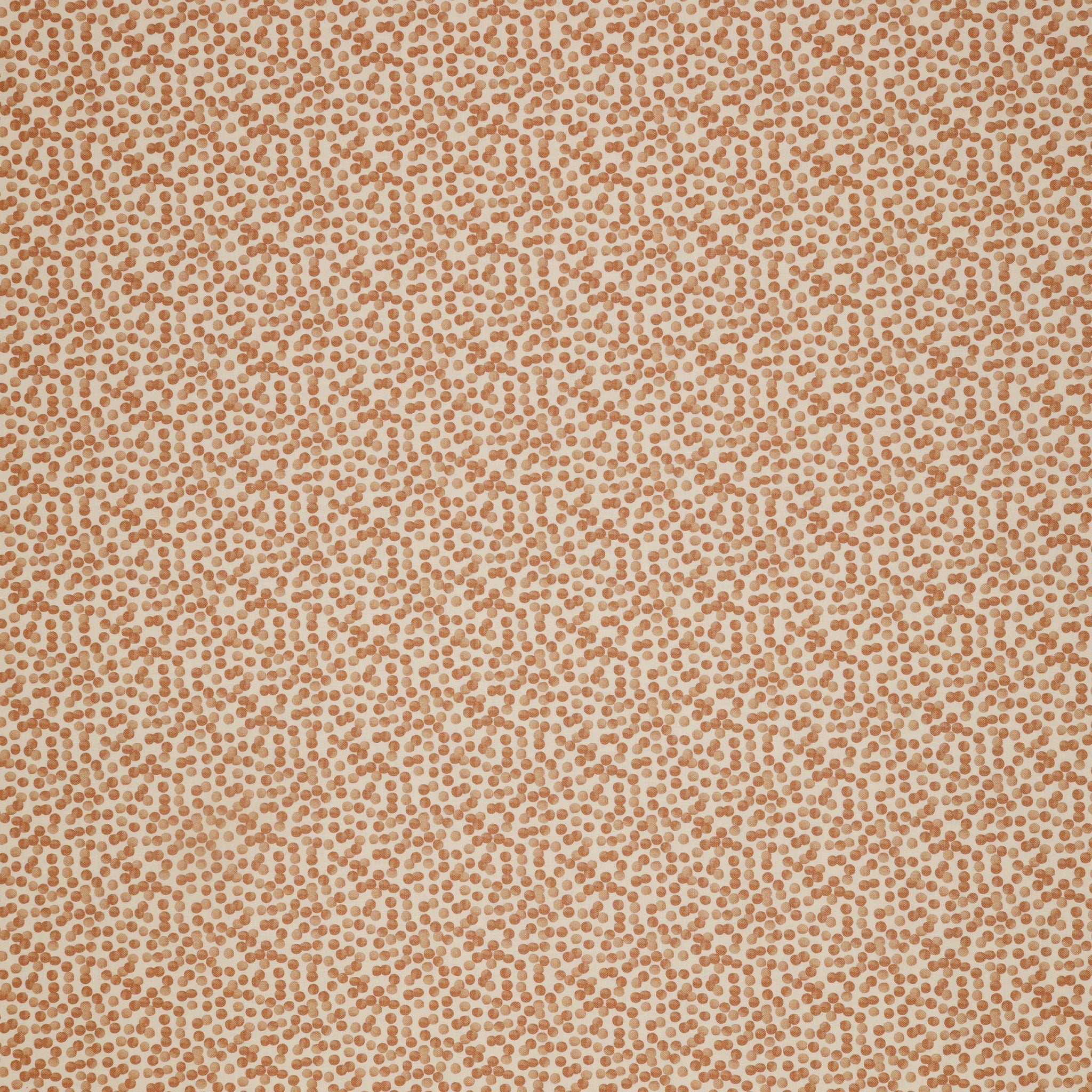 Vegetable Patch Fabric Collection - Garden Peas Orange