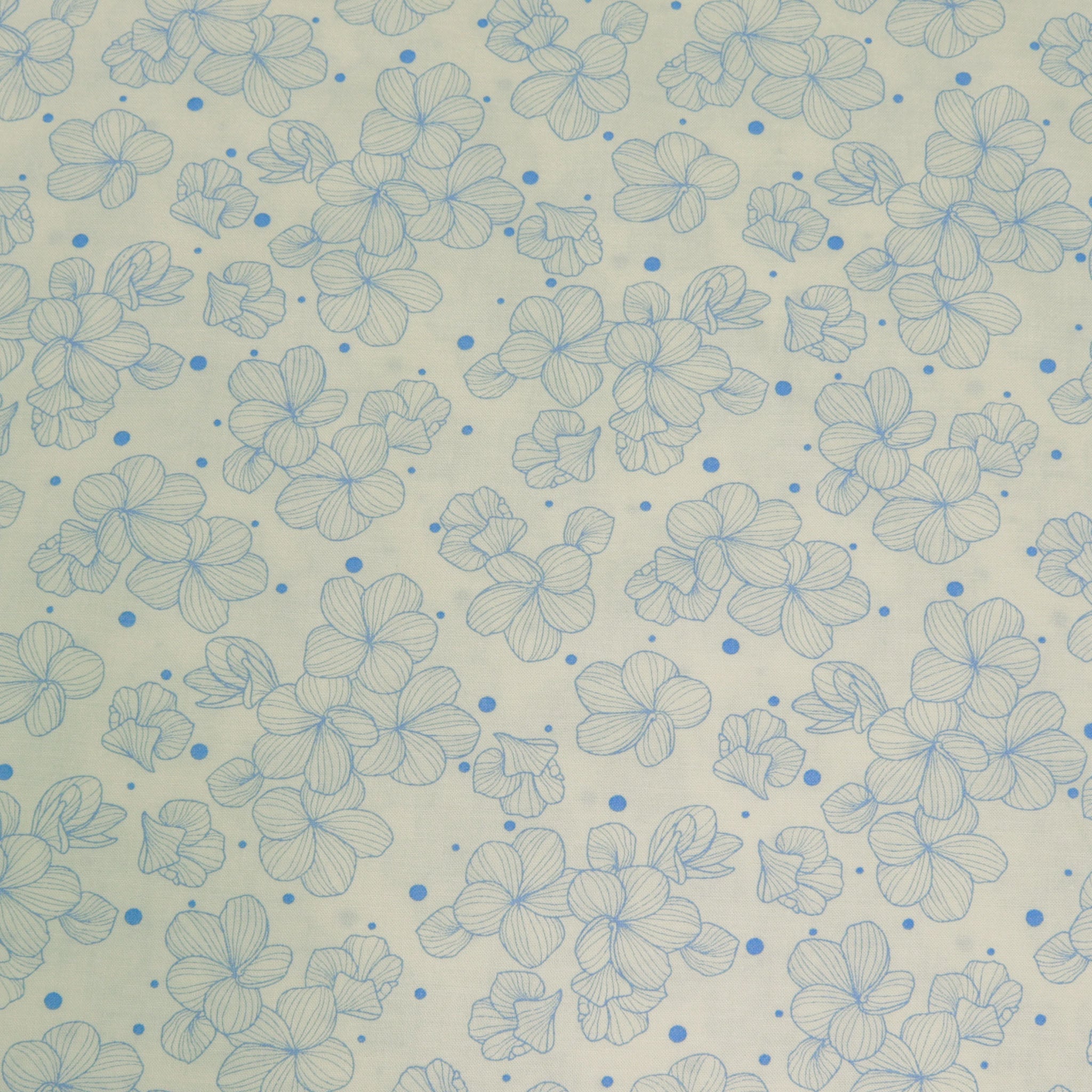 Paradise Park Fabric Collection - Playground Celeste