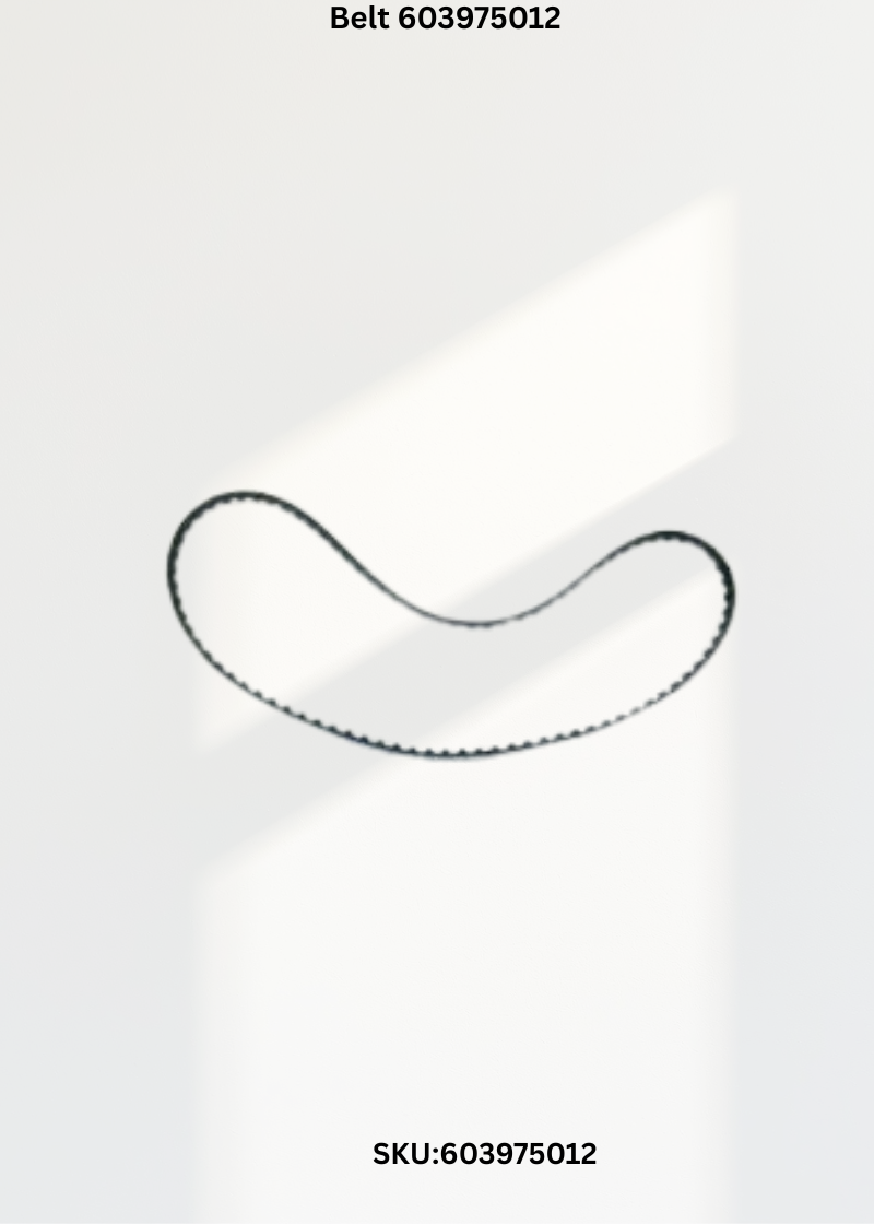 Belt 603975012