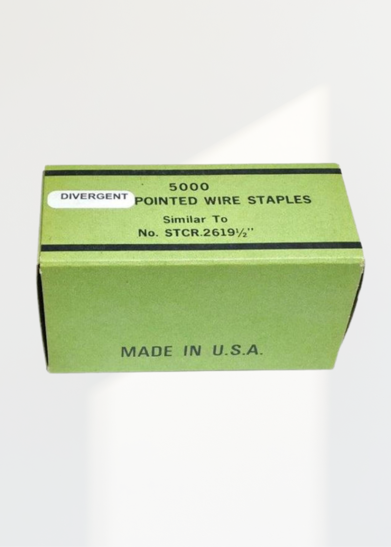 Box of 5M Galvanized Staples, 1/2" - Universal STCR2619