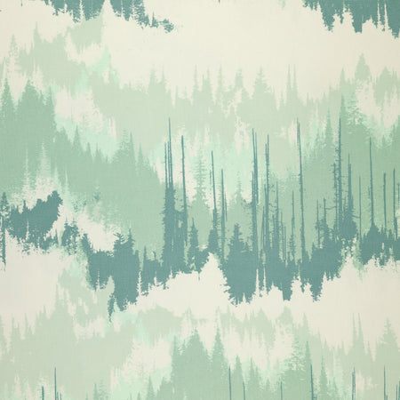 Evergreens Frozen in Canvas