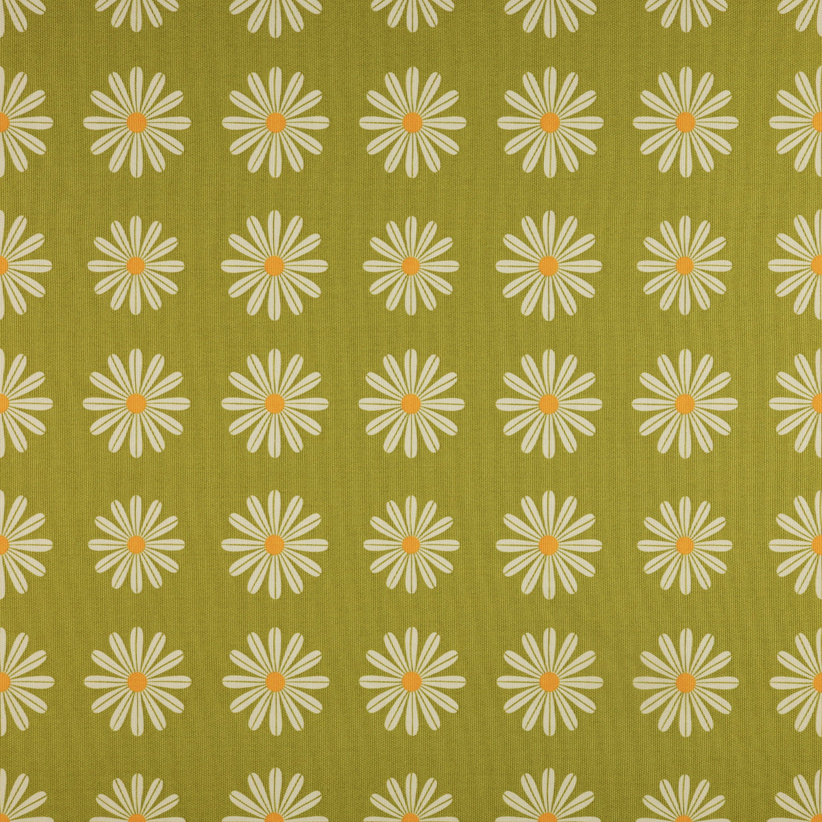 Choose Happy Olive in Canvas