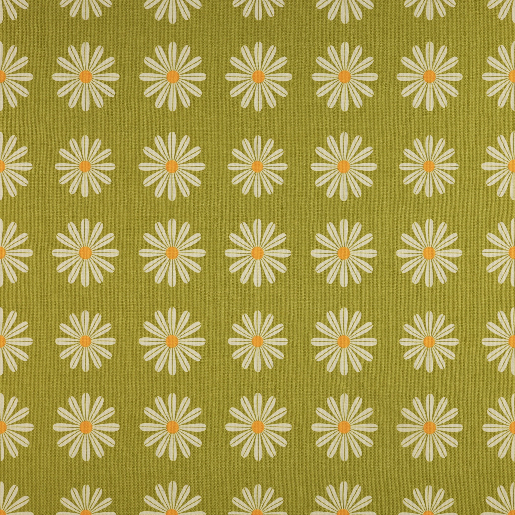 Choose Happy Olive in Canvas