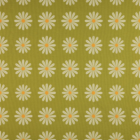 Choose Happy Olive in Canvas