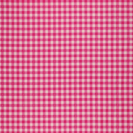 Barbie World Fabric Collection - Barbie Gingham Hot Pink