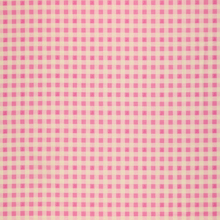 Barbie World Fabric Collection - Barbie Gingham Pink
