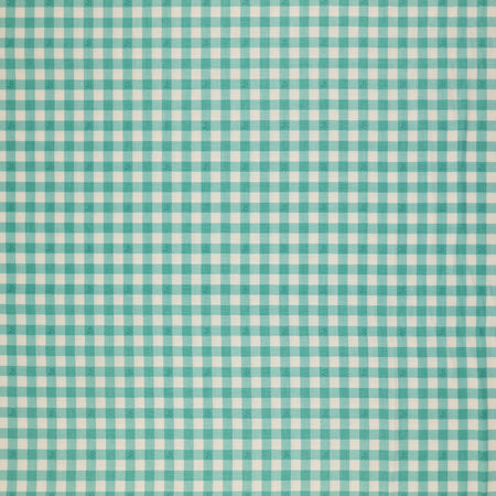 Barbie World Fabric Collection - Barbie Gingham Teal