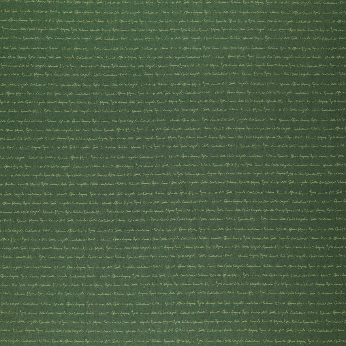 Olive Grove Fabric Collection - Script Teal