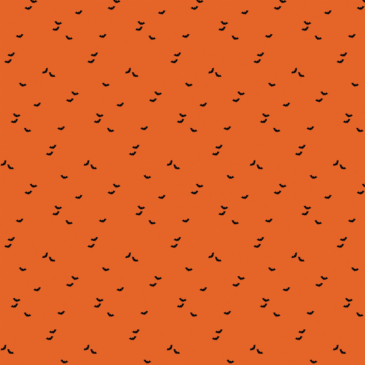 Seasonal Basics Fabric Collection - Bat Orange