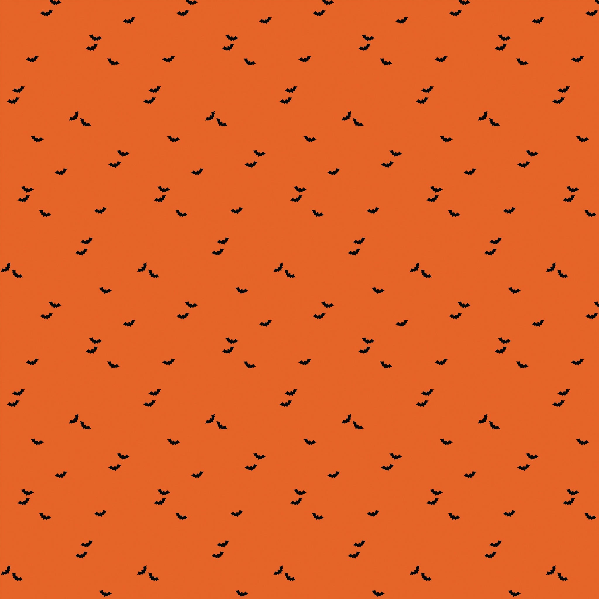 Seasonal Basics Fabric Collection - Bat Orange