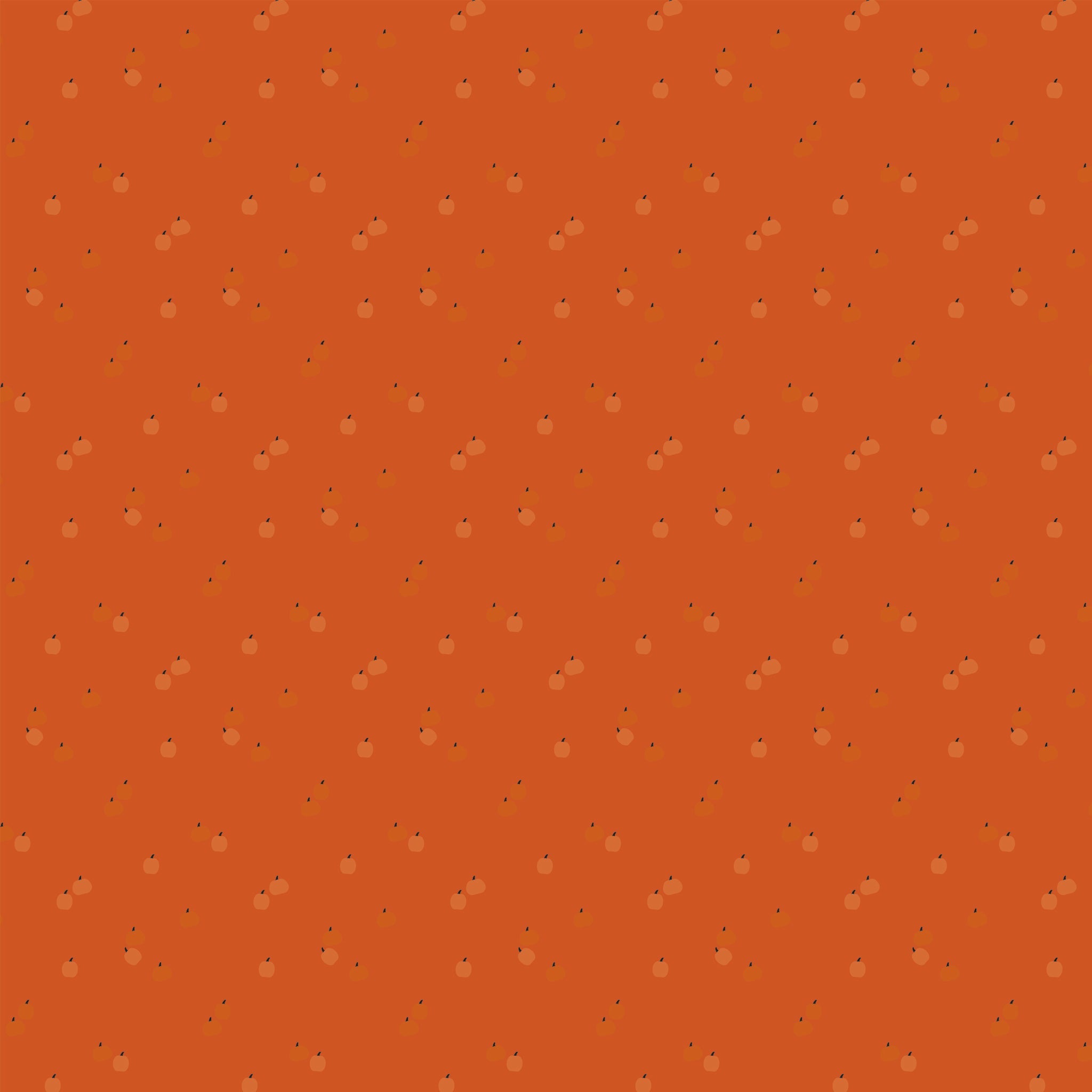 Seasonal Basics Fabric Collection - Pumpkins Orange