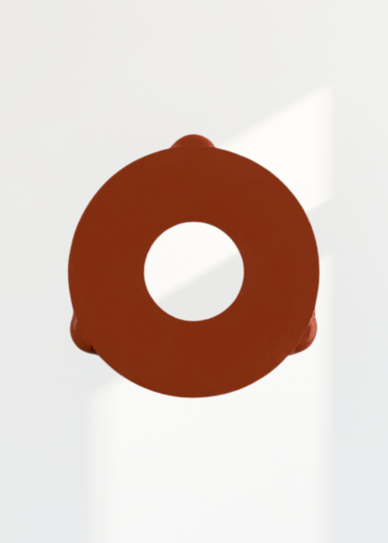 Filler Cap Gasket Only For Hi-Steam Mini Boilers