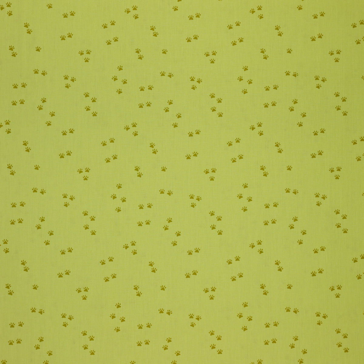 Happy Camper Fabric Collection - Tracks and Trails