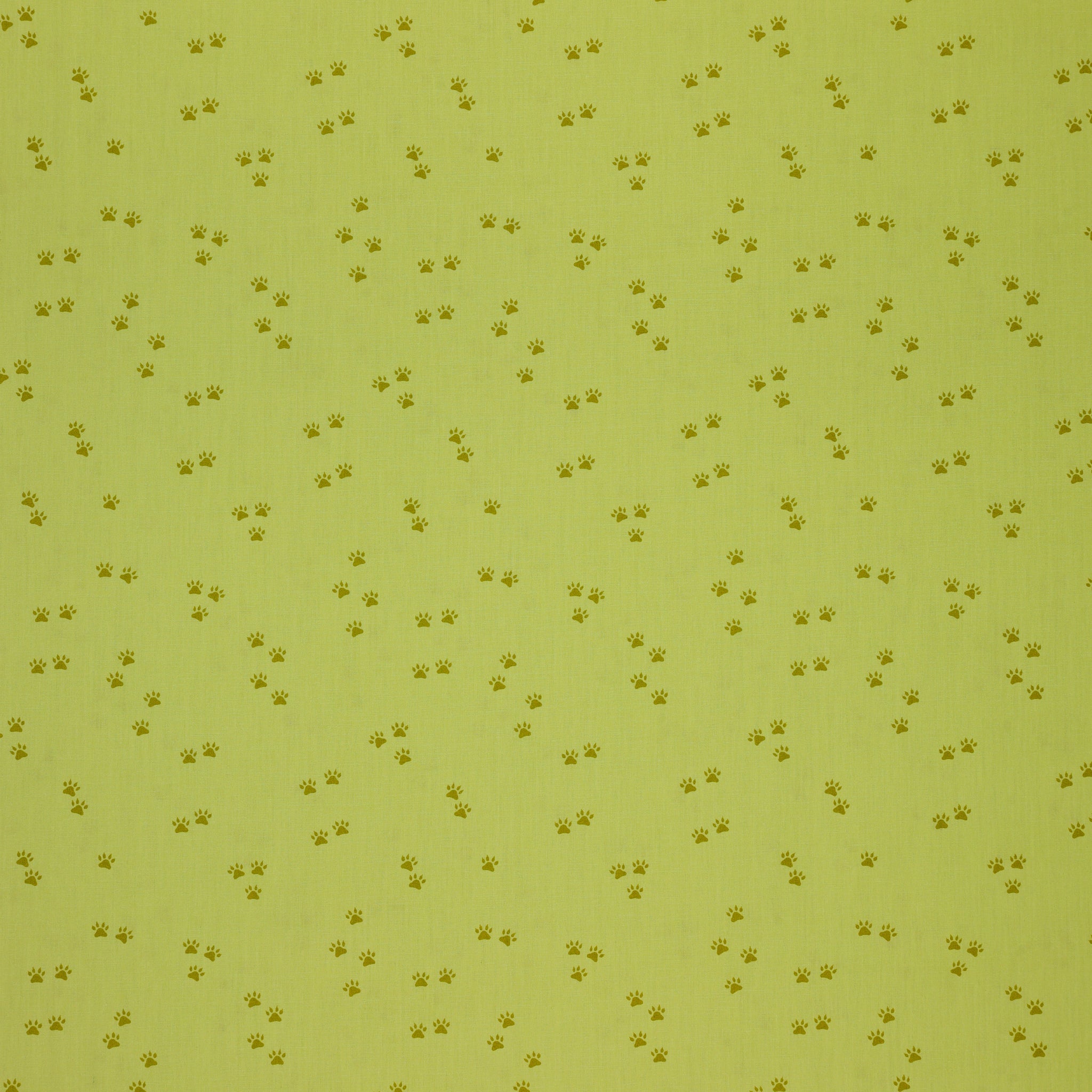 Happy Camper Fabric Collection - Tracks and Trails