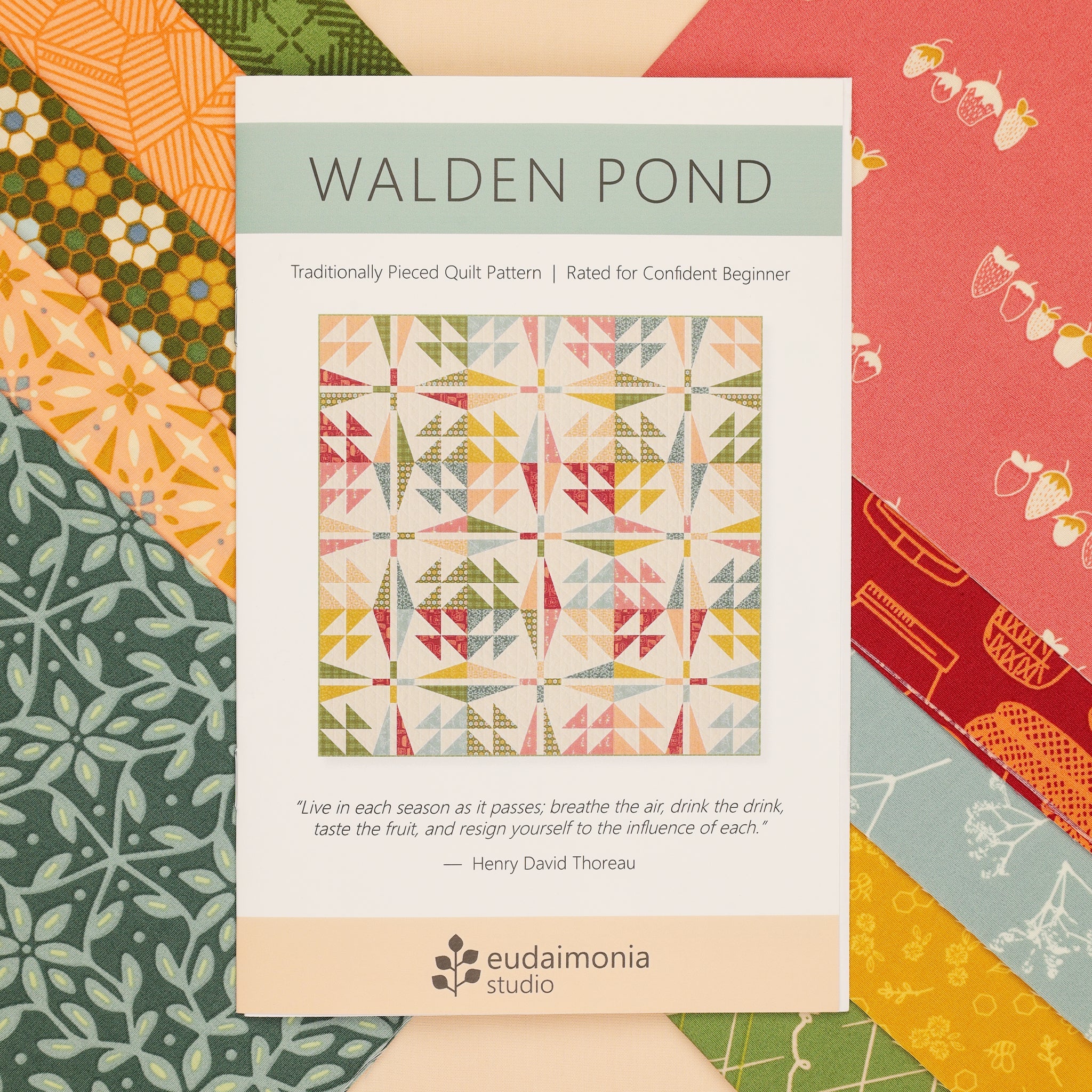 Summer Homestead Walden Pond Quilt Kit