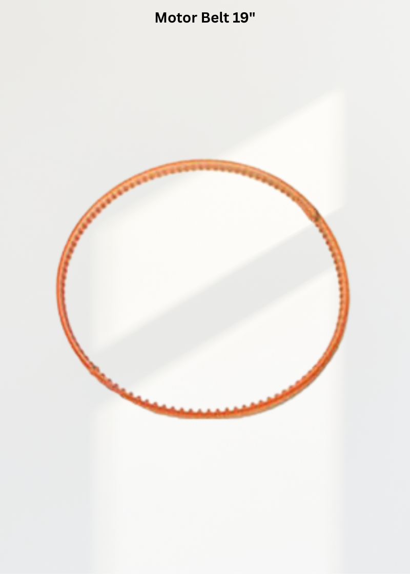 Motor Belt 19"