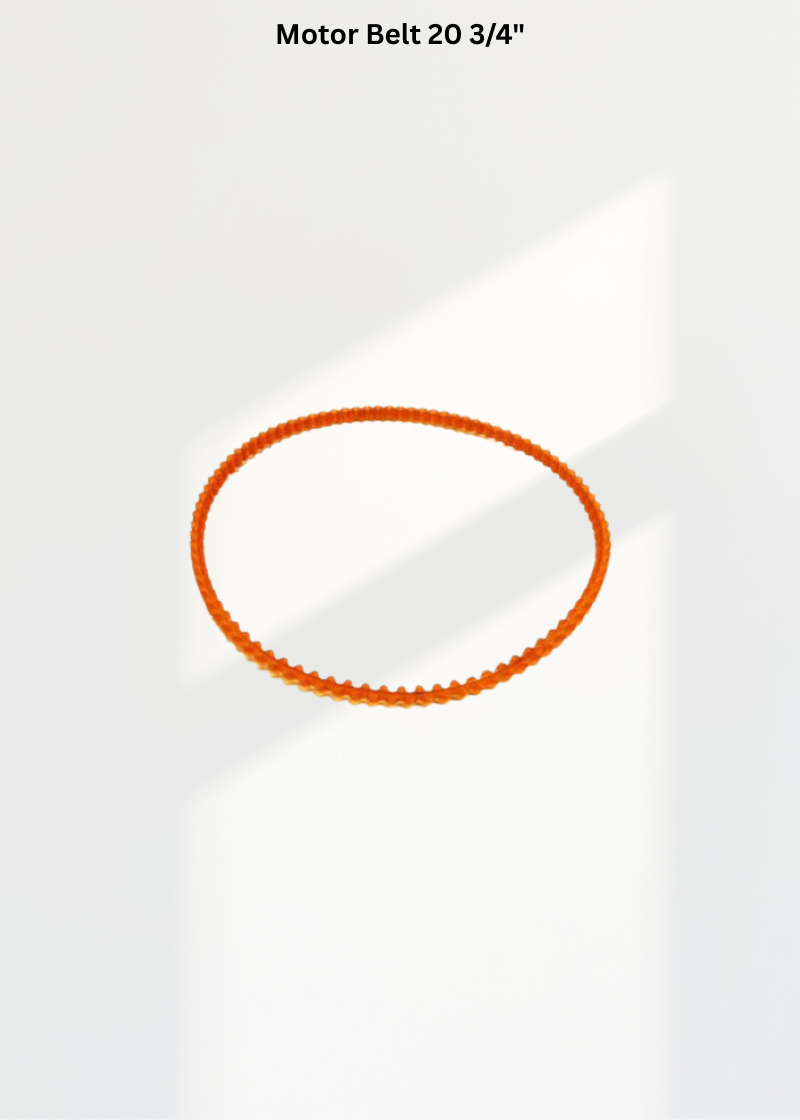 Motor Belt 20 3/4"