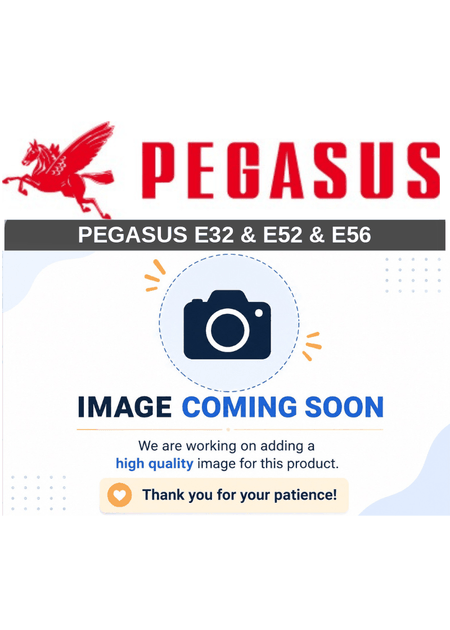 Pegasus 000016 – Gauge Part (E32 & E52 & E56)