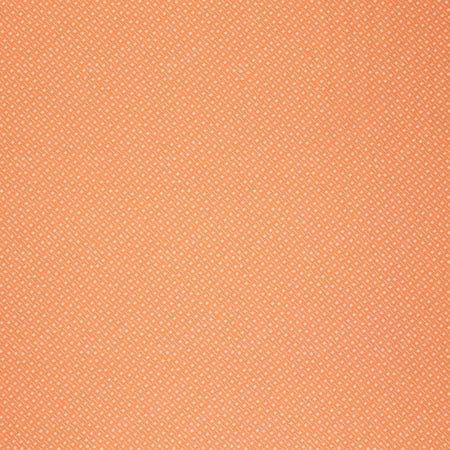 Summer Homestead Fabric Collection - Sprouted Seedlings