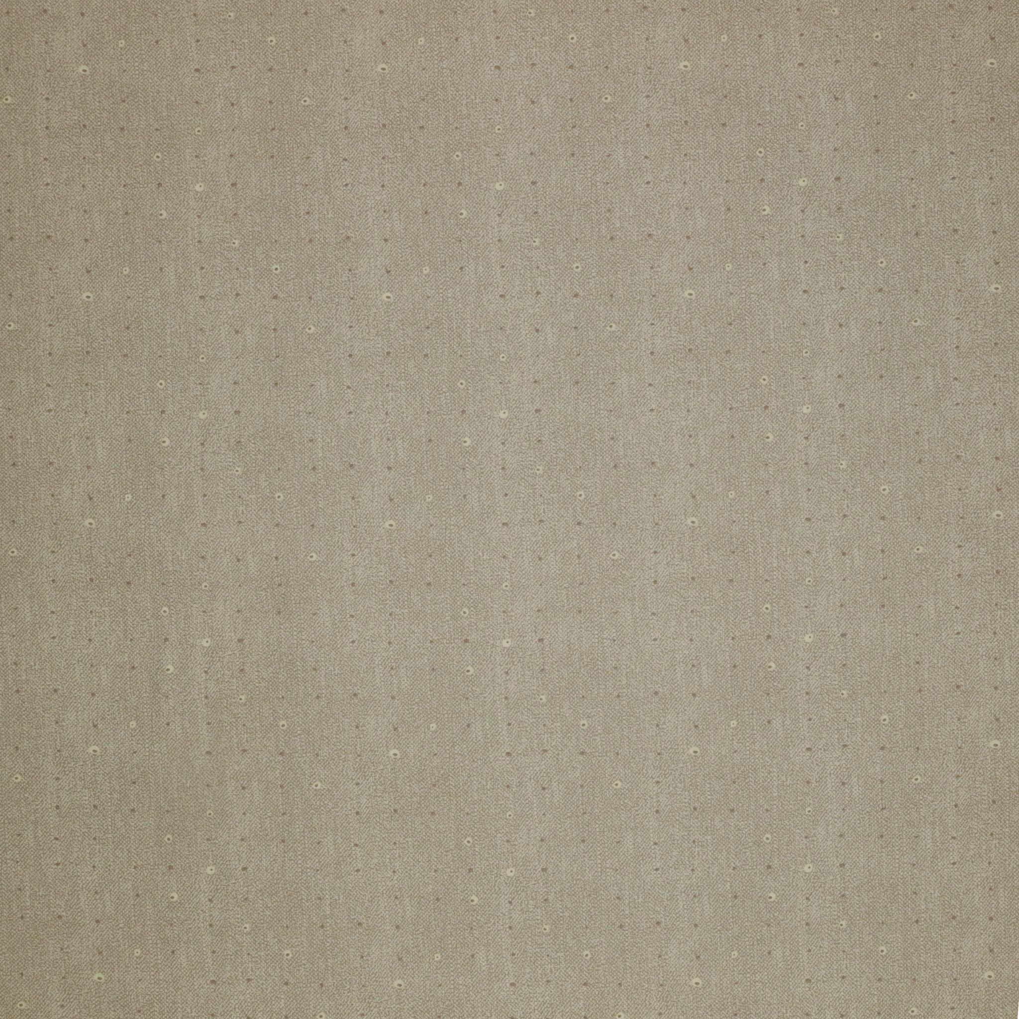 Seedling Fabric Collection - Seeds Dove
