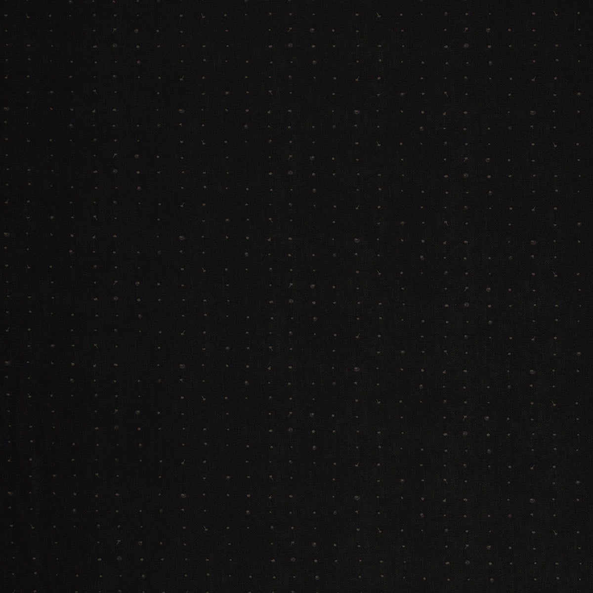 Seedling Fabric Collection - Seeds Licorice
