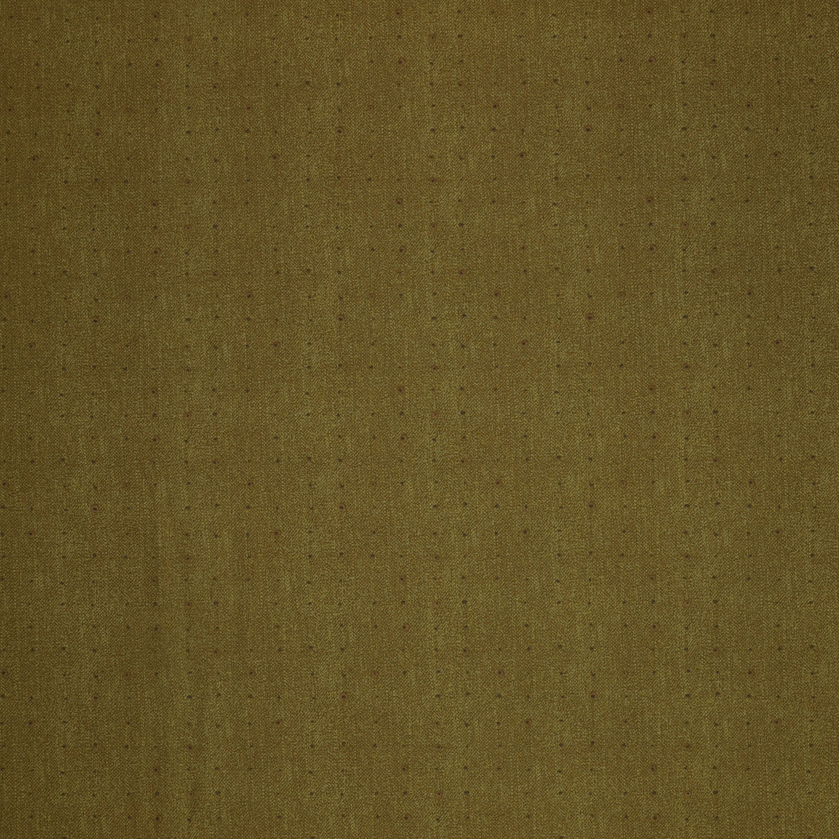 Seedling Fabric Collection - Seeds Olive