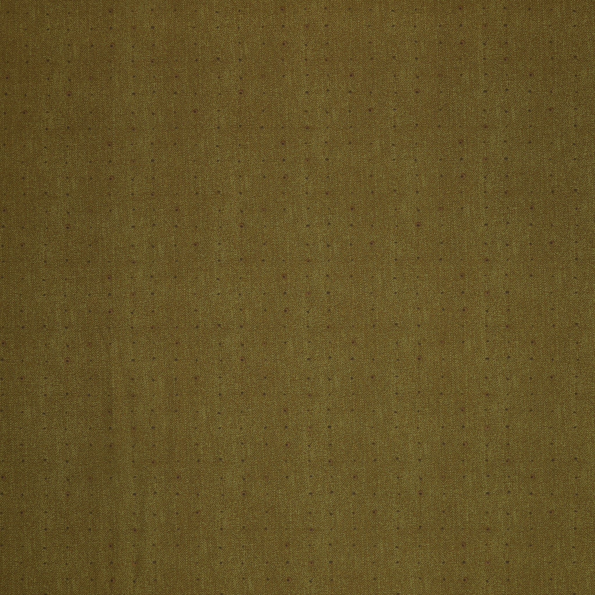 Seedling Fabric Collection - Seeds Olive