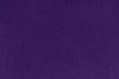Shannon Fabrics Solid Cuddle 3 - Extra Wide Eggplant