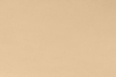 Shannon Fabrics Solid Cuddle 3 - Extra Wide Latte