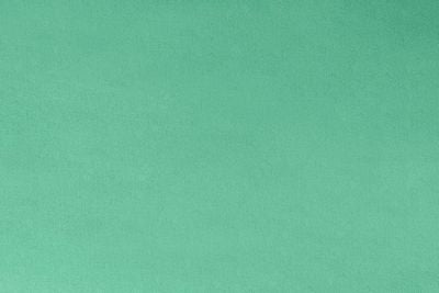 Shannon Fabrics Solid Cuddle 3 - Extra Wide Spearmint