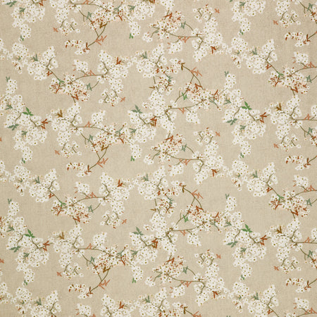 Soar Fabric Collection - Skye Sakura Sprout