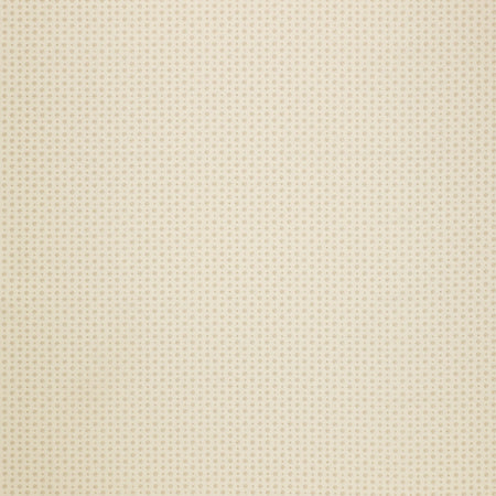 Spruce Fabric Collection - Pretty Paper Snowfall